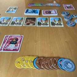 Jaipur2_resultaat